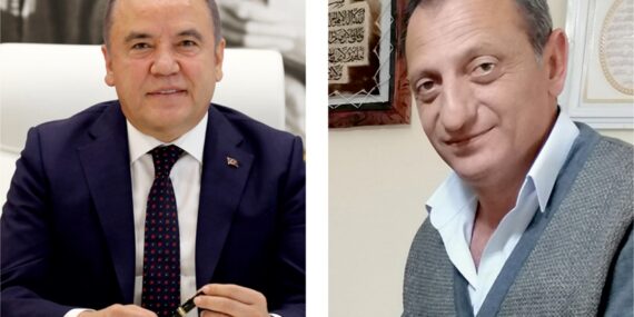 Balta – Böcek işbirliği