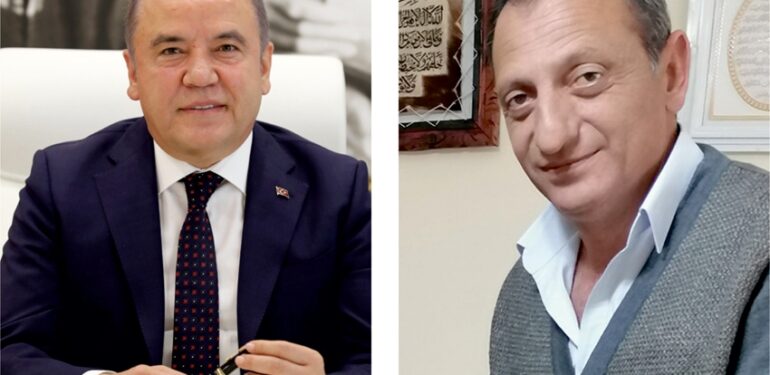 Balta – Böcek işbirliği