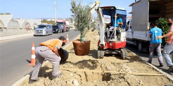 PAYALLAR SANAYİ CADDESİ ÜZERİNE YENİ YAPILAN REFÜJDE BİTKİLENDİRME ÇALIŞMALARI BAŞLADI