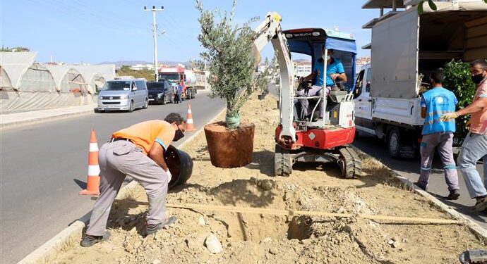 PAYALLAR SANAYİ CADDESİ ÜZERİNE YENİ YAPILAN REFÜJDE BİTKİLENDİRME ÇALIŞMALARI BAŞLADI