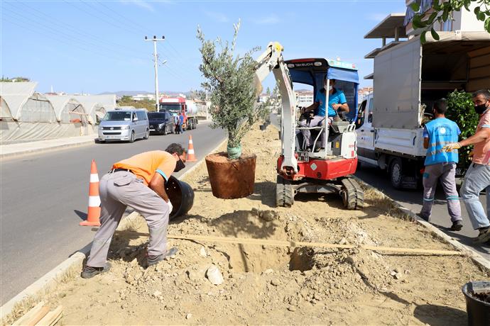 PAYALLAR SANAYİ CADDESİ ÜZERİNE YENİ YAPILAN REFÜJDE BİTKİLENDİRME ÇALIŞMALARI BAŞLADI