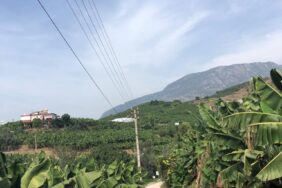 kör_bicikten_süt_bekliyoruz