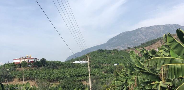 Kör bicik’ten emziriyorlar!