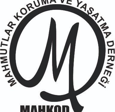 Mahmutlar cezalı mı?