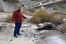 128546118_4695241123882266_2475614495018767163_o