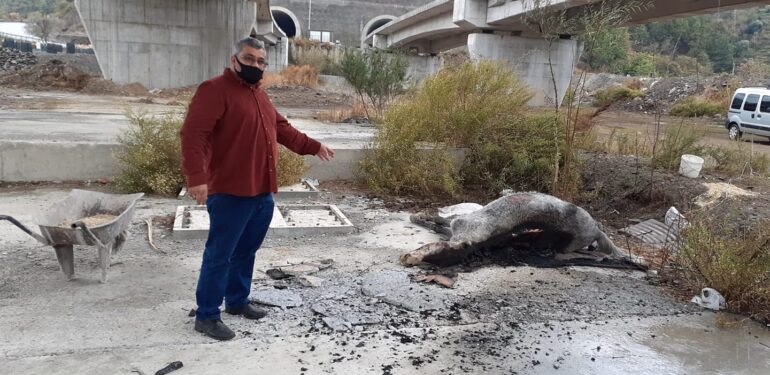 Kestel de Vahşet !…