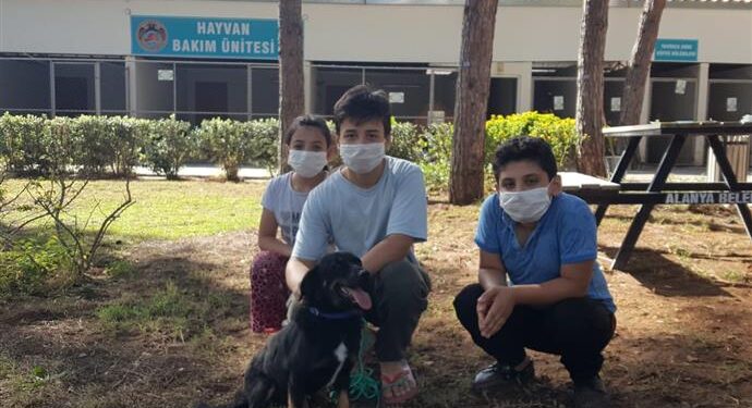 LİSELİ GENÇLER HAYVAN SEVGİSİNİ ALANYA BELEDİYESİ İLE ÖĞRENİYOR