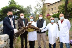 BAŞKAN YÜCEL TEDAVİSİ TAMAMLANAN KARTALI DOĞAYA SALDI