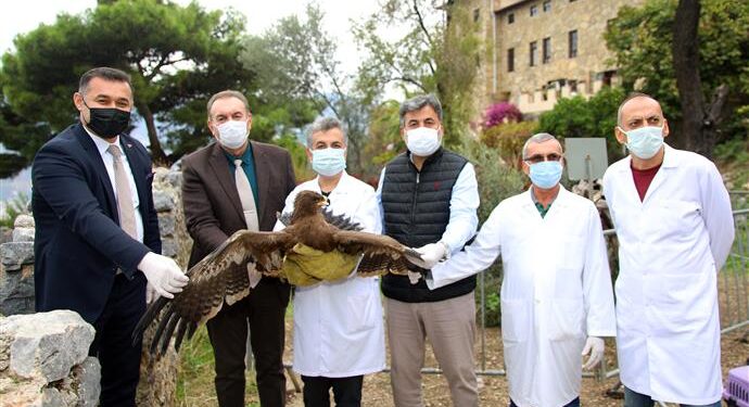 BAŞKAN YÜCEL TEDAVİSİ TAMAMLANAN KARTALI DOĞAYA SALDI