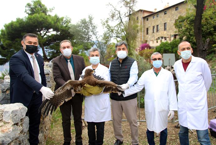 BAŞKAN YÜCEL TEDAVİSİ TAMAMLANAN KARTALI DOĞAYA SALDI