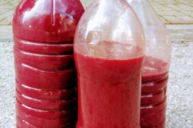 b908efbb-4622-4dbf-aaf2-db1ee8c016e0