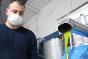 fotoiha.avokado_16_9_1609236305