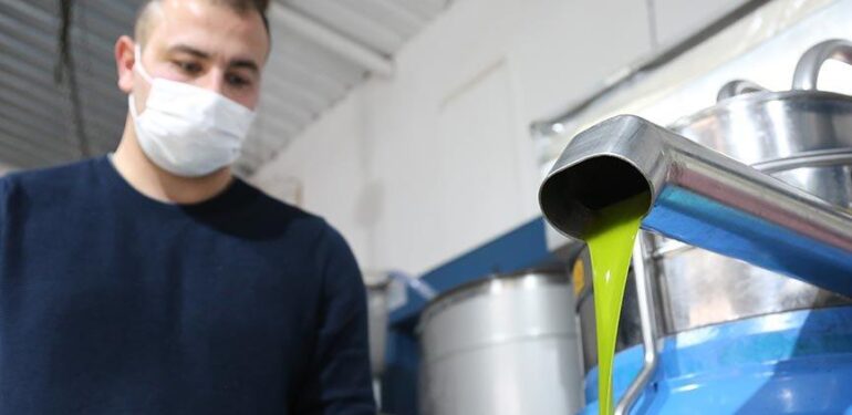 ‘Yeşil altın’ olarak biliniyor… Avokado yağı litresi 250 liradan satılıyor..