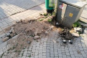 135567821_4837678752971835_3531610038016719599_n