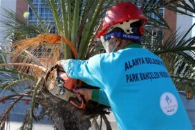 ALANYA BELEDİYESİ SOKAĞA ÇIKMA YASAĞINI FIRSATA ÇEVİRDİ