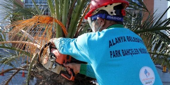 ALANYA BELEDİYESİ SOKAĞA ÇIKMA YASAĞINI FIRSATA ÇEVİRDİ