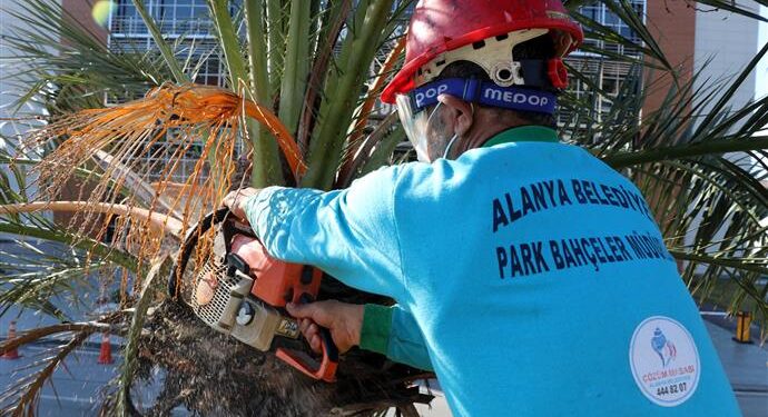ALANYA BELEDİYESİ SOKAĞA ÇIKMA YASAĞINI FIRSATA ÇEVİRDİ