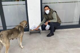 koç-başkan-gibi-mahmutlar