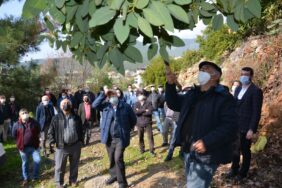 10c41fed-574c-4db3-95c6-86178c1b20cc