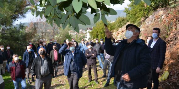 Büyükşehirden Alanyalı çiftçilere uygulamalı eğitim