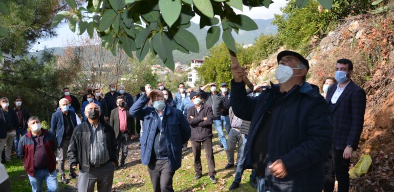 Büyükşehirden Alanyalı çiftçilere uygulamalı eğitim