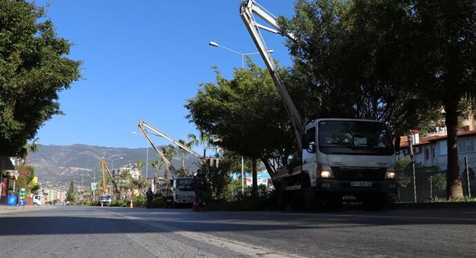 ALANYA BELEDİYESİ BUDAMA ÇALIŞMALARINA DEVAM EDİYOR
