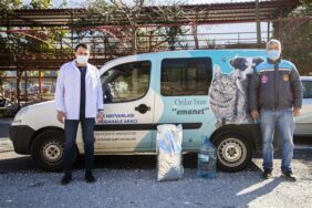 ALANYA BELEDİYESİ ZORLU DOĞA KOŞULLARINDA DA SOKAK HAYVANLARININ HER ZAMAN YANINDA