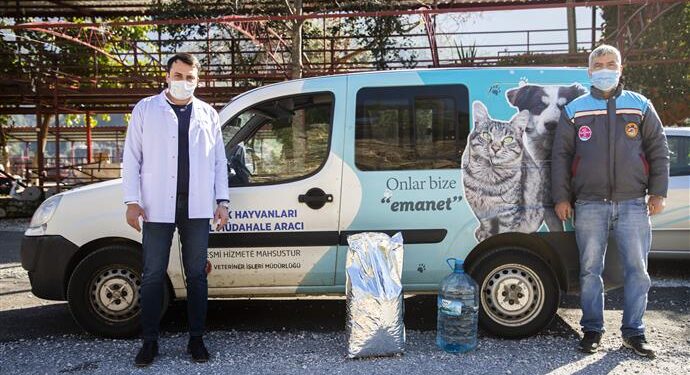 ALANYA BELEDİYESİ ZORLU DOĞA KOŞULLARINDA DA SOKAK HAYVANLARININ HER ZAMAN YANINDA