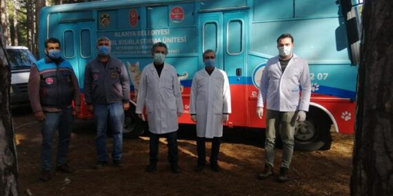 KIRSAL BÖLGELERDEKİ SOKAK HAYVANLARI TEK TEK AŞILANIP KISIRLAŞTIRILIYOR