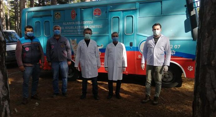 KIRSAL BÖLGELERDEKİ SOKAK HAYVANLARI TEK TEK AŞILANIP KISIRLAŞTIRILIYOR