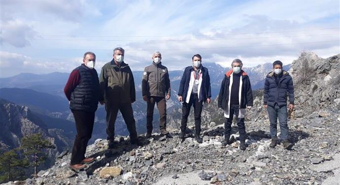 SOKAK HAYVANLARI ALANYA BELEDİYESİ İLE GÜVENDE