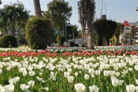 ALANYA BELEDİYESİ KENTE BAHARI GETİRDİ