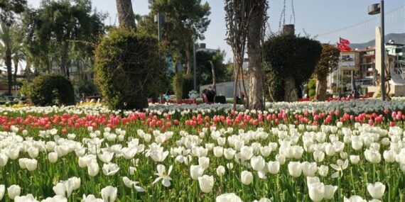 ALANYA BELEDİYESİ KENTE BAHARI GETİRDİ