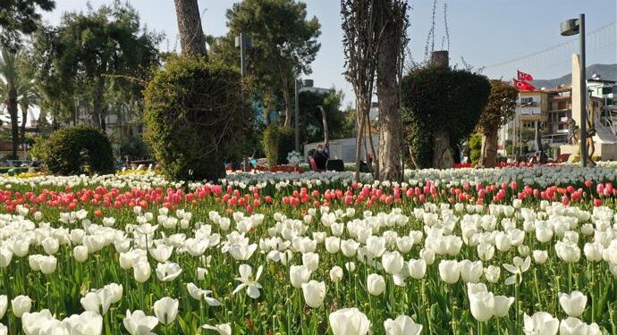 ALANYA BELEDİYESİ KENTE BAHARI GETİRDİ