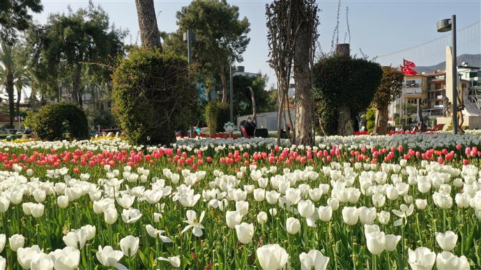 ALANYA BELEDİYESİ KENTE BAHARI GETİRDİ