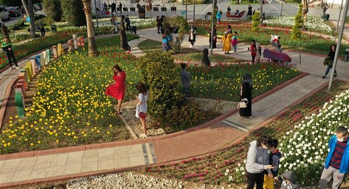 ALANYA SOKAKLARINDA İLKBAHAR MÜJDECİSİ LALELER ÇİÇEK AÇTI