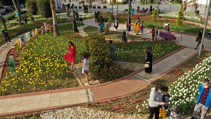 ALANYA SOKAKLARINDA İLKBAHAR MÜJDECİSİ LALELER ÇİÇEK AÇTI