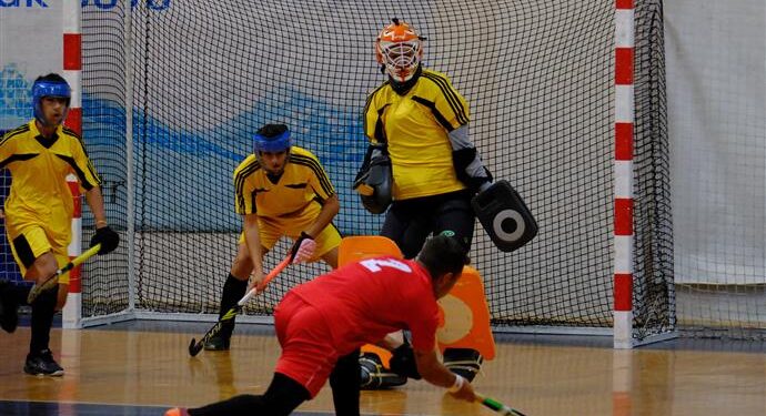 KADINLAR VE ERKEKLER SALON HOKEYİ 2. LİG PLAY-OFF MAÇLARI BAŞLADI