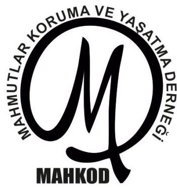 Fitre ve Zekatlar Ahmet bebeğimize