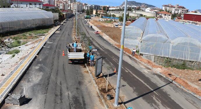 ALANYA BELEDİYESİ PORTAKAL CADDESİ’Nİ YEŞİLLENDİRİYOR