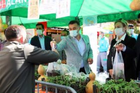 ALANYA BELEDİYESİ SU KABAĞI FİDESİ DAĞITMAYA DEVAM EDİYOR