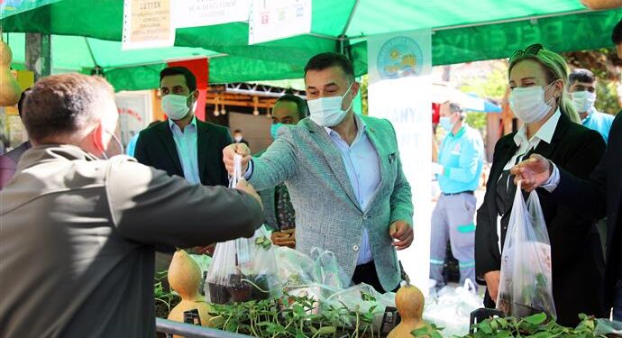 ALANYA BELEDİYESİ SU KABAĞI FİDESİ DAĞITMAYA DEVAM EDİYOR