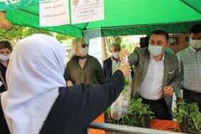 ALANYA BELEDİYESİ SU VE LİF KABAĞI FİDESİ DAĞITMAYA DEVAM EDİYOR