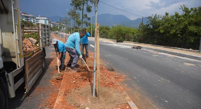 HAYRİ DOĞAN CADDESİ AĞAÇLANDIRILIYOR