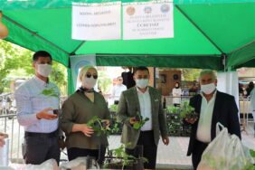 ALANYA BELEDİYESİ SU KABAĞI VE LİF KABAĞI FİDESİ DAĞITMAYA DEVAM EDİYOR