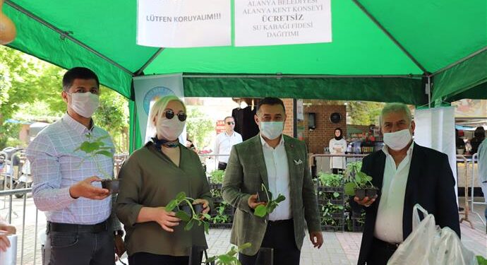 ALANYA BELEDİYESİ SU KABAĞI VE LİF KABAĞI FİDESİ DAĞITMAYA DEVAM EDİYOR