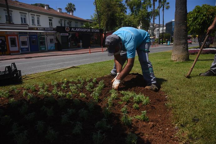 ALANYA MEVSİMLİK ÇİÇEKLERLE YAZA HAZIRLANIYOR