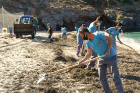 ALANYA BELEDİYESİ’NDEN SAHİLDE YOSUN TEMİZLİĞİ
