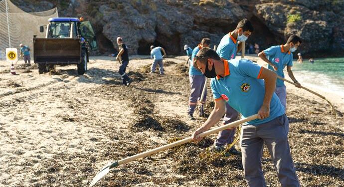ALANYA BELEDİYESİ’NDEN SAHİLDE YOSUN TEMİZLİĞİ