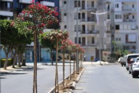 ALANYA’NIN YENİ PRESTİJİ HİZMETE GİRDİ